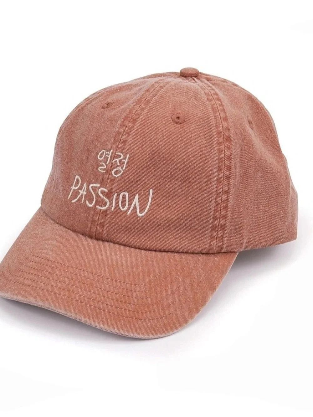 NWT RM x SFMOMA Passion Hat Embroidered Brown Baseball Cap